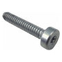 FS310 Pan Head Self Tapping