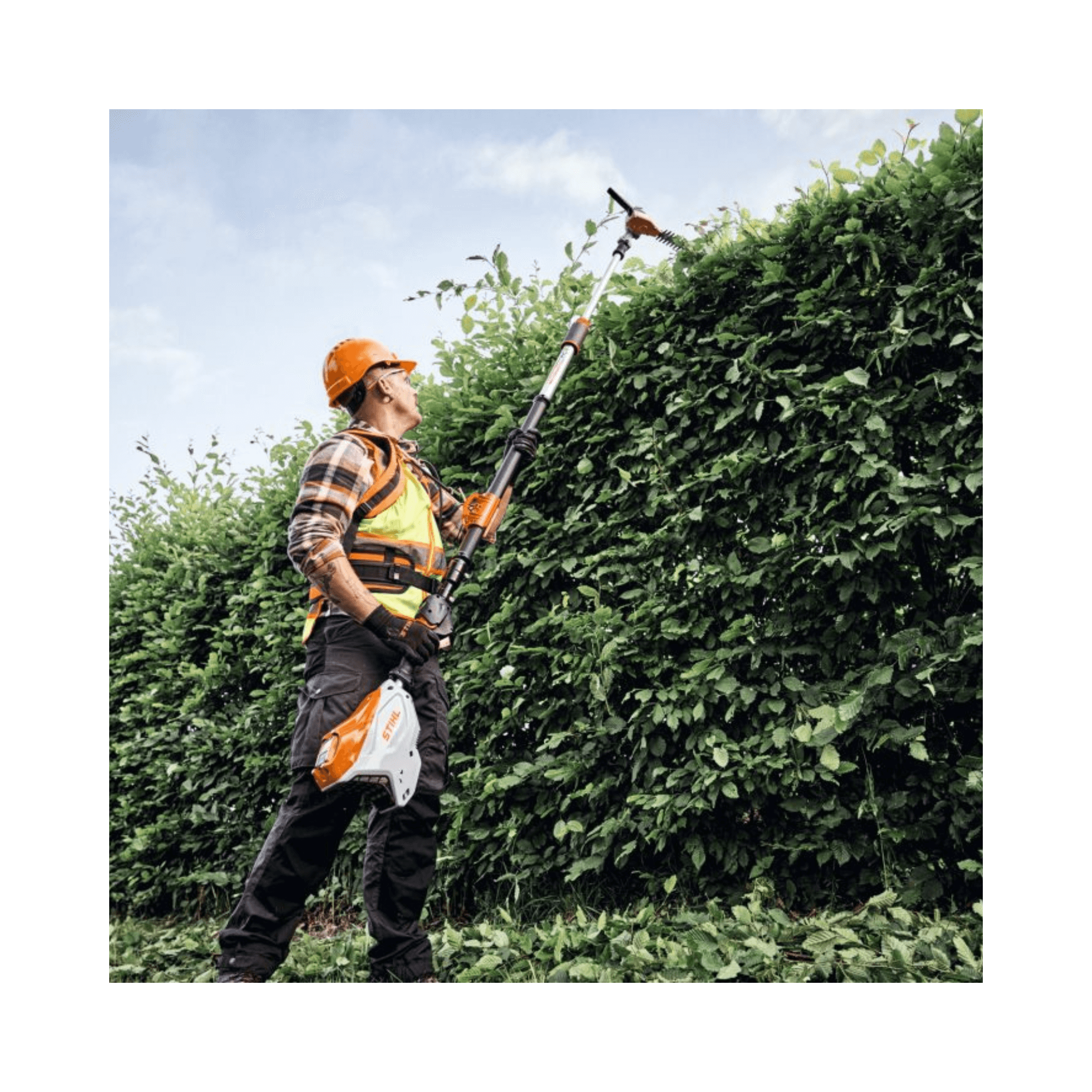Professional using the HLA 150 B Cordless Long-Reach Hedge Trimmer for tree maintenance and landscape care.