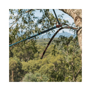 Tree Surgeon using the ART SnakeTail on a tree for climbing safety, demonstrating effective rope management.