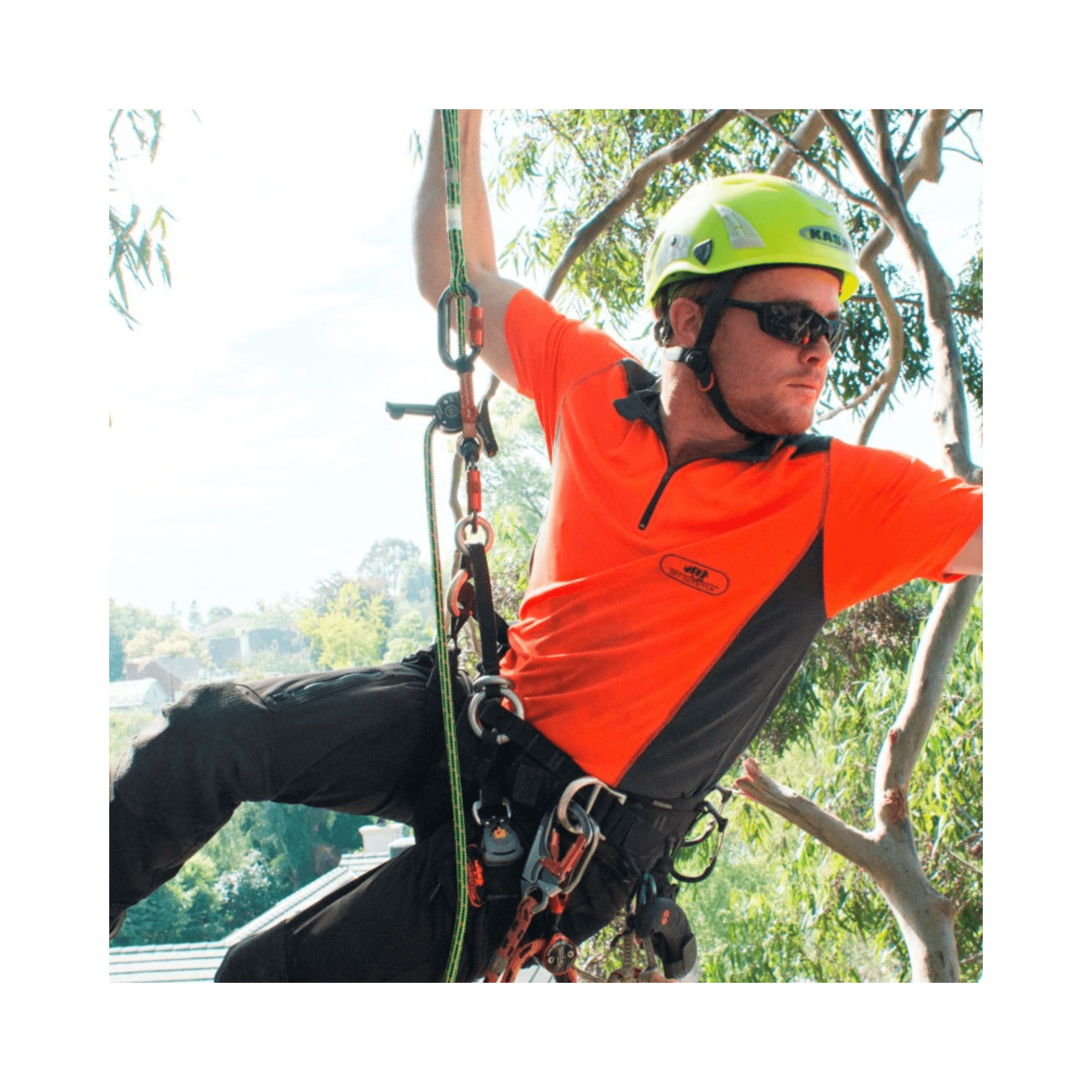 Person in orange safety vest and helmet climbing a tree with equipment