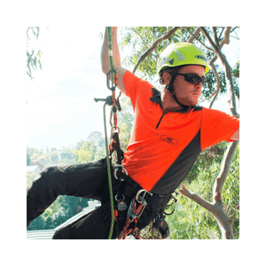 Person in orange safety vest and helmet climbing a tree with equipment