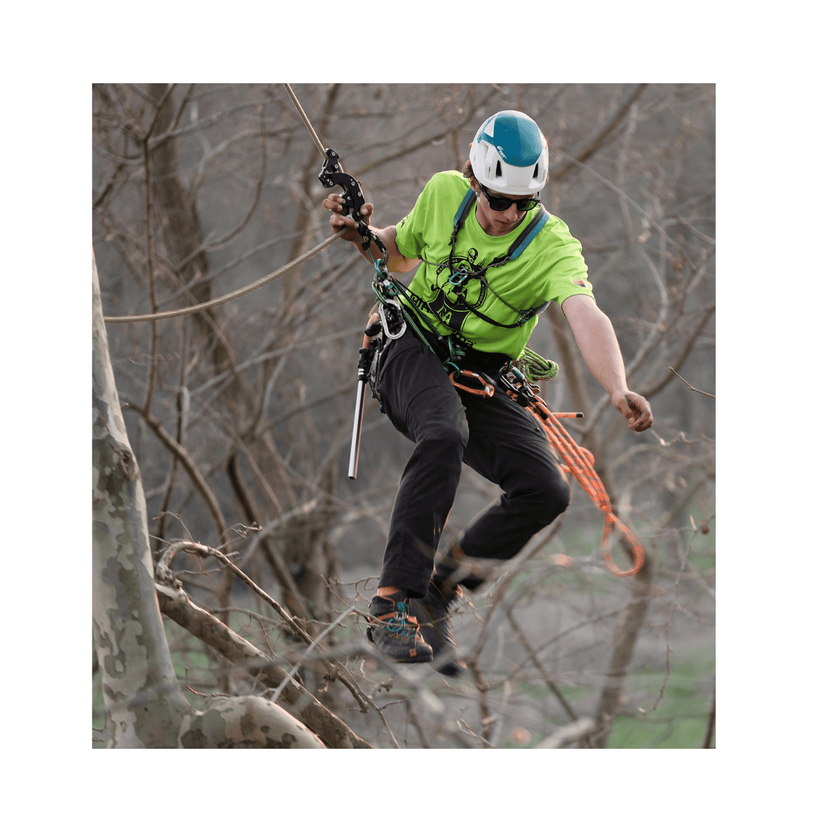 ART BlackBird Rope Ascender Descender | FREE UK Delivery