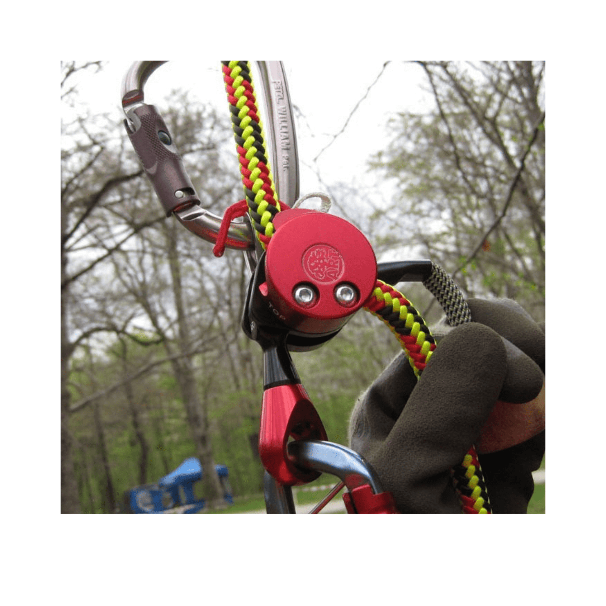 Close-up of LockJack 2 swivel mechanical ascender with carabiner and rope, ideal for tree surgeons.