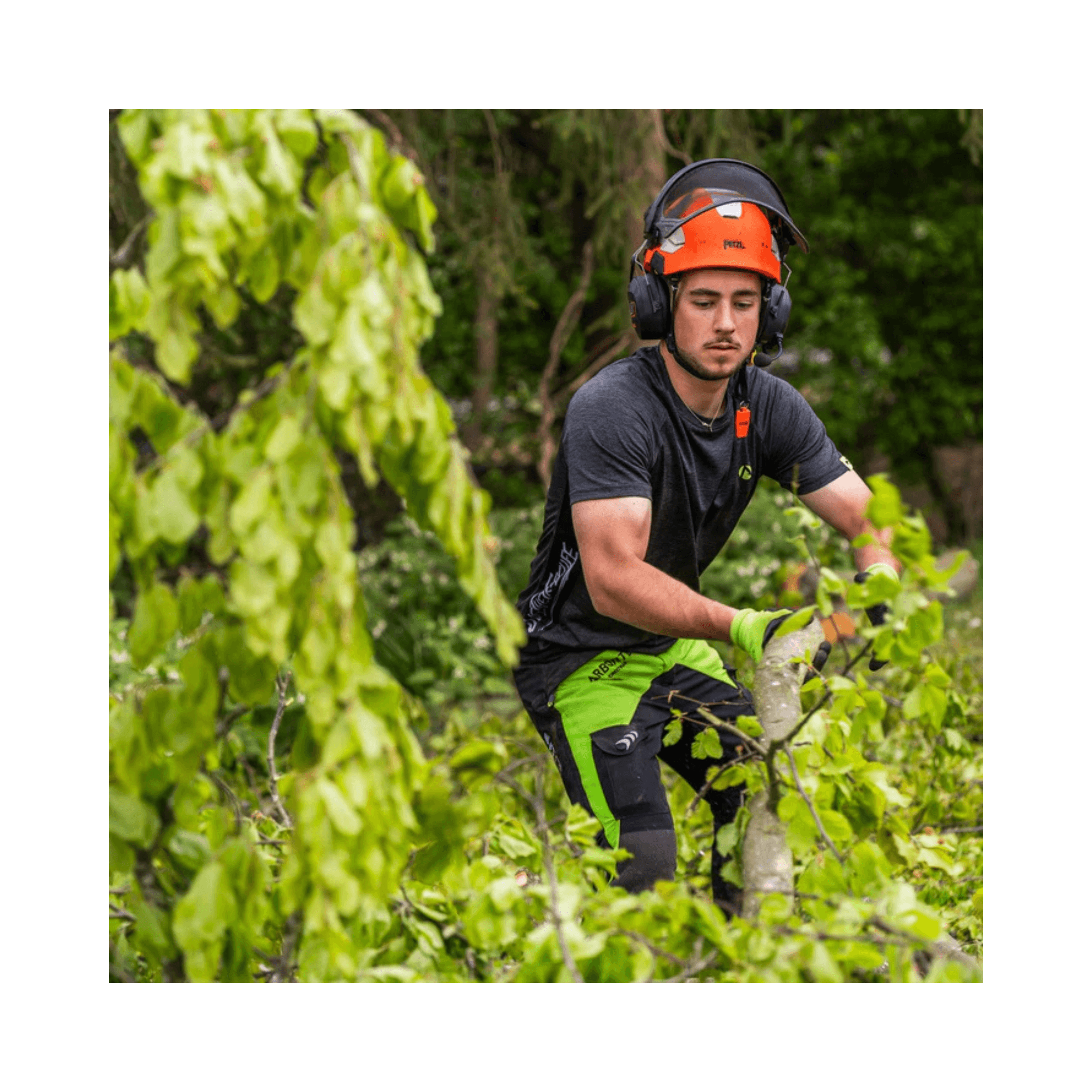 Breatheflex Chainsaw Trousers Black/Lime Type C Class 2 worn by tree surgeon in action.