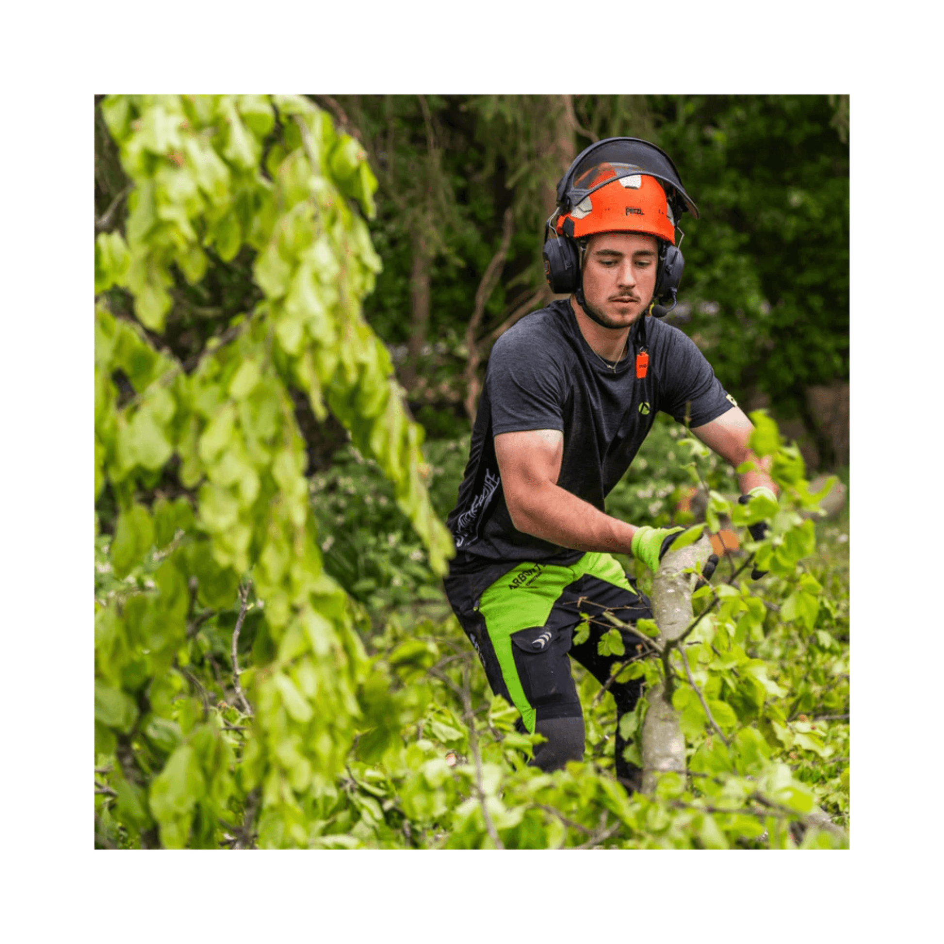 Breatheflex Chainsaw Trousers Black/Lime Type C Class 2 worn by tree surgeon in action.