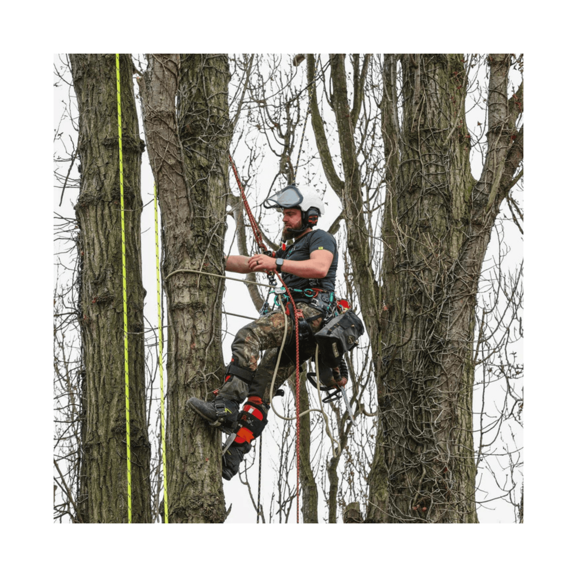 Tree surgeon wearing Breatheflex Pro Realtree Chainsaw Trousers Type C while climbing trees.