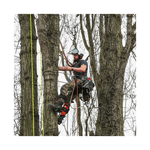 Tree surgeon wearing Breatheflex Pro Realtree Chainsaw Trousers Type C while climbing trees.