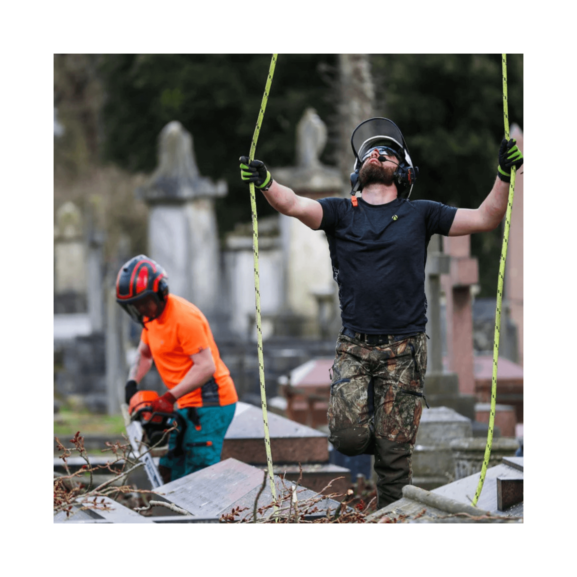 Tree surgeons working with Breatheflex Pro Realtree Chainsaw Trousers Type C in a cemetery.