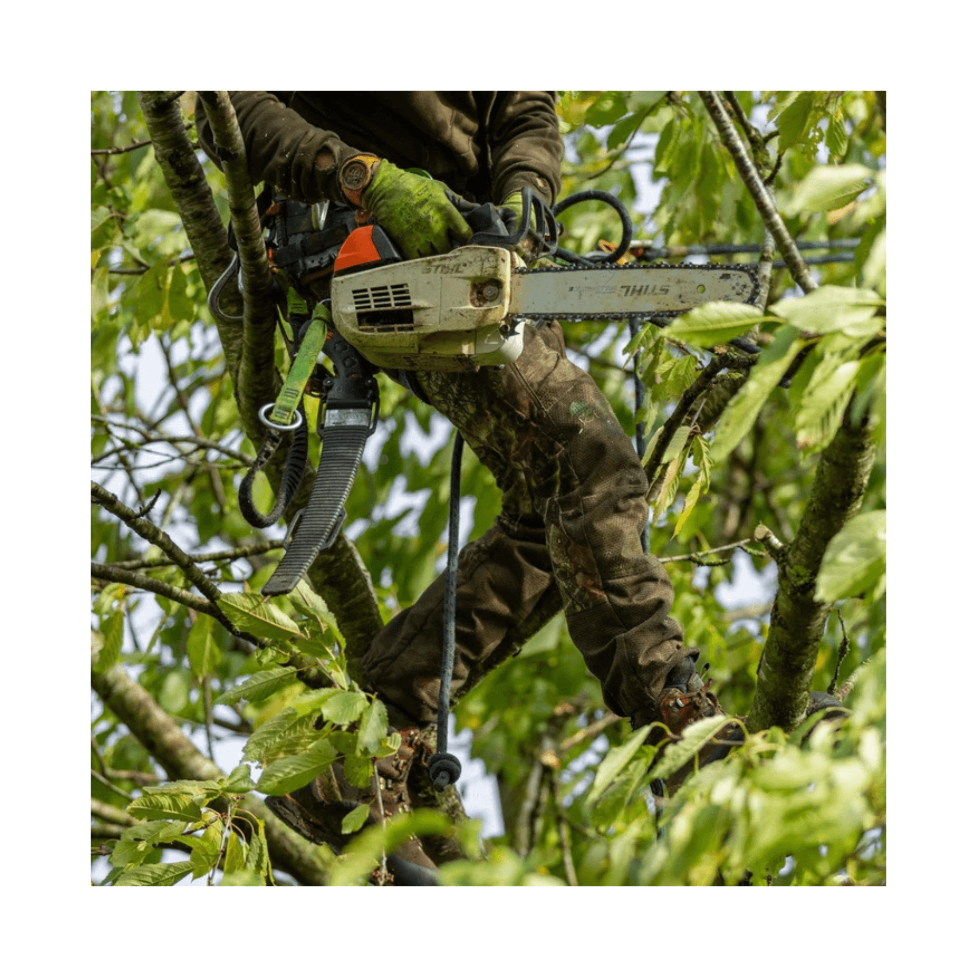 Breatheflex Pro Realtree Chainsaw Trousers Type C worn by a tree surgeon in a tree holding a chainsaw.