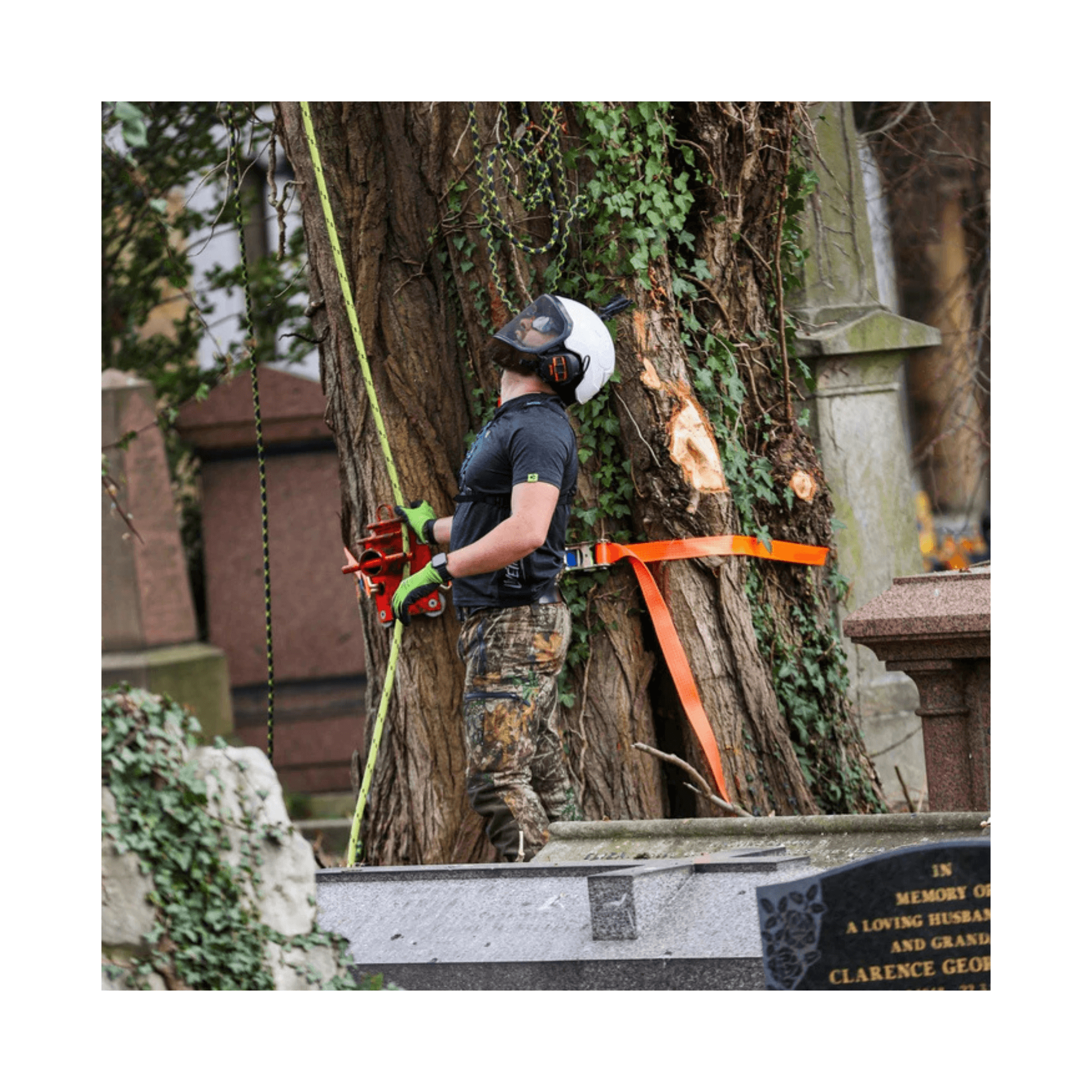 Tree surgeon using Breatheflex Pro Realtree Chainsaw Trousers Type C while pruning a tree.