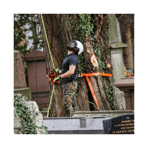 Tree surgeon using Breatheflex Pro Realtree Chainsaw Trousers Type C while pruning a tree.