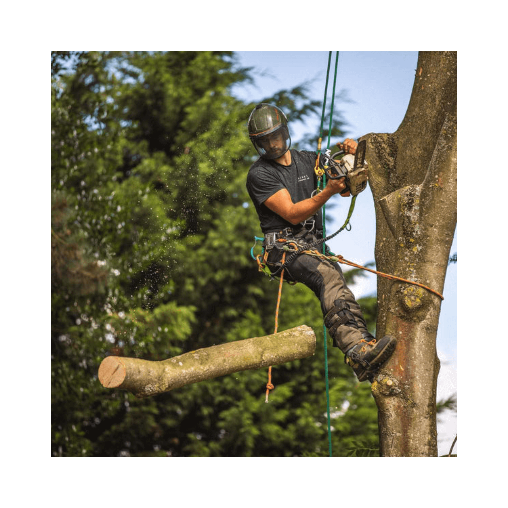 Tree surgeon using a chainsaw while wearing Breatheflex Pro Chainsaw Trousers Black Type C for protection.