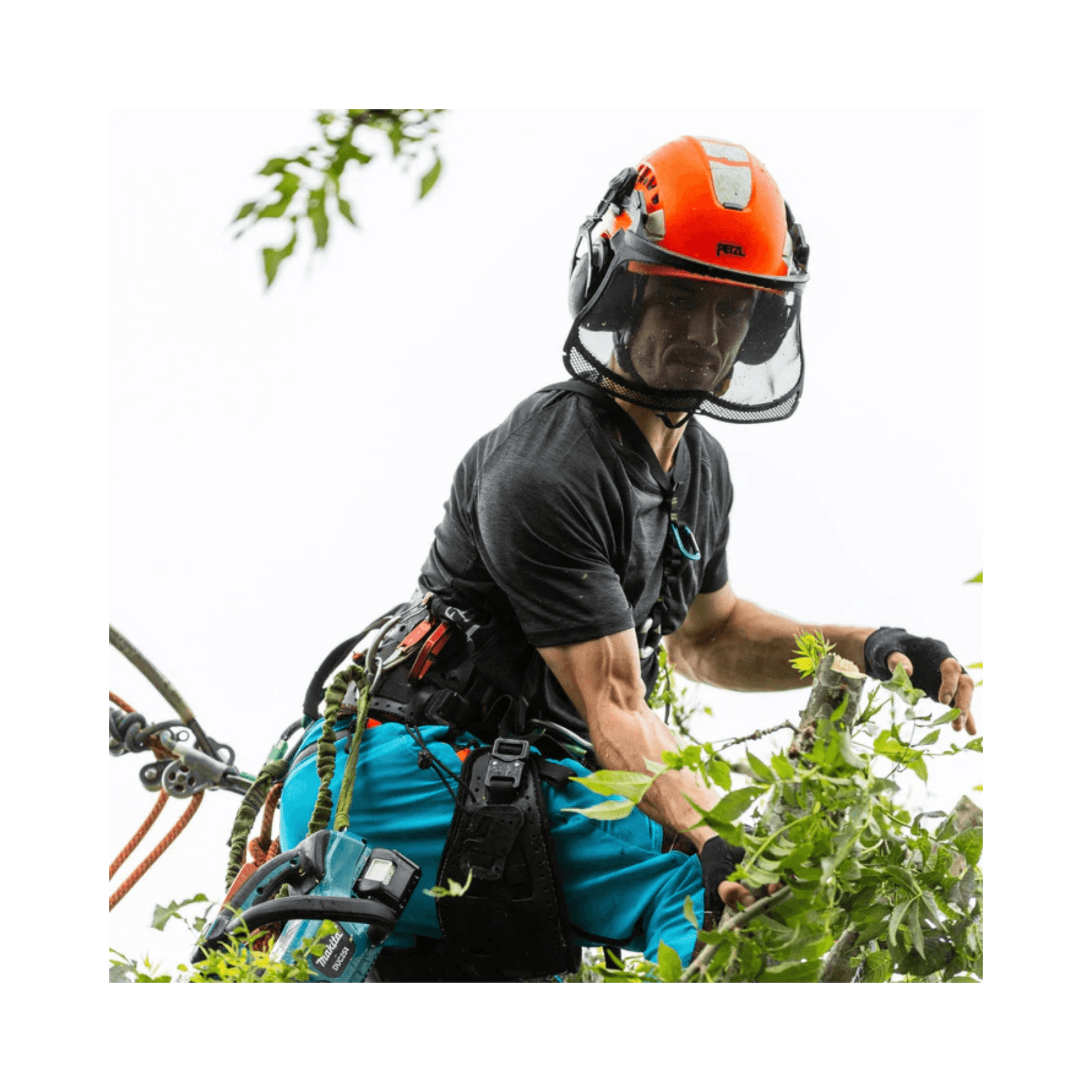 Arbortec Performance T-Shirt Short Sleeve worn by a tree surgeon working on a tree, showcasing durability and performance.