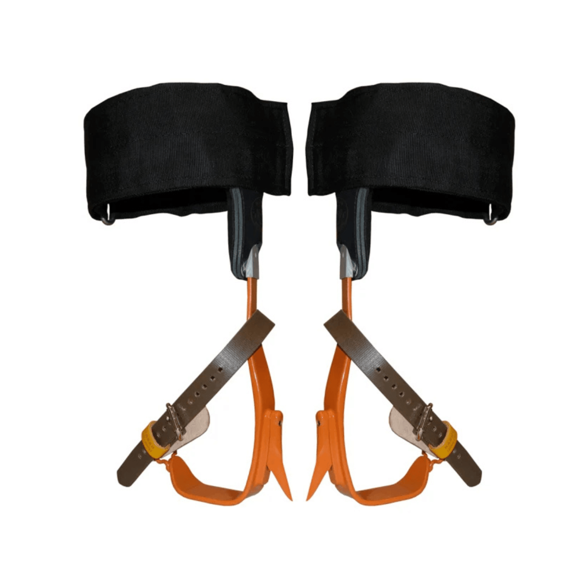 Twisted Shank Tree Climbing Spikes with safety straps and padded supports for professional tree climbers.