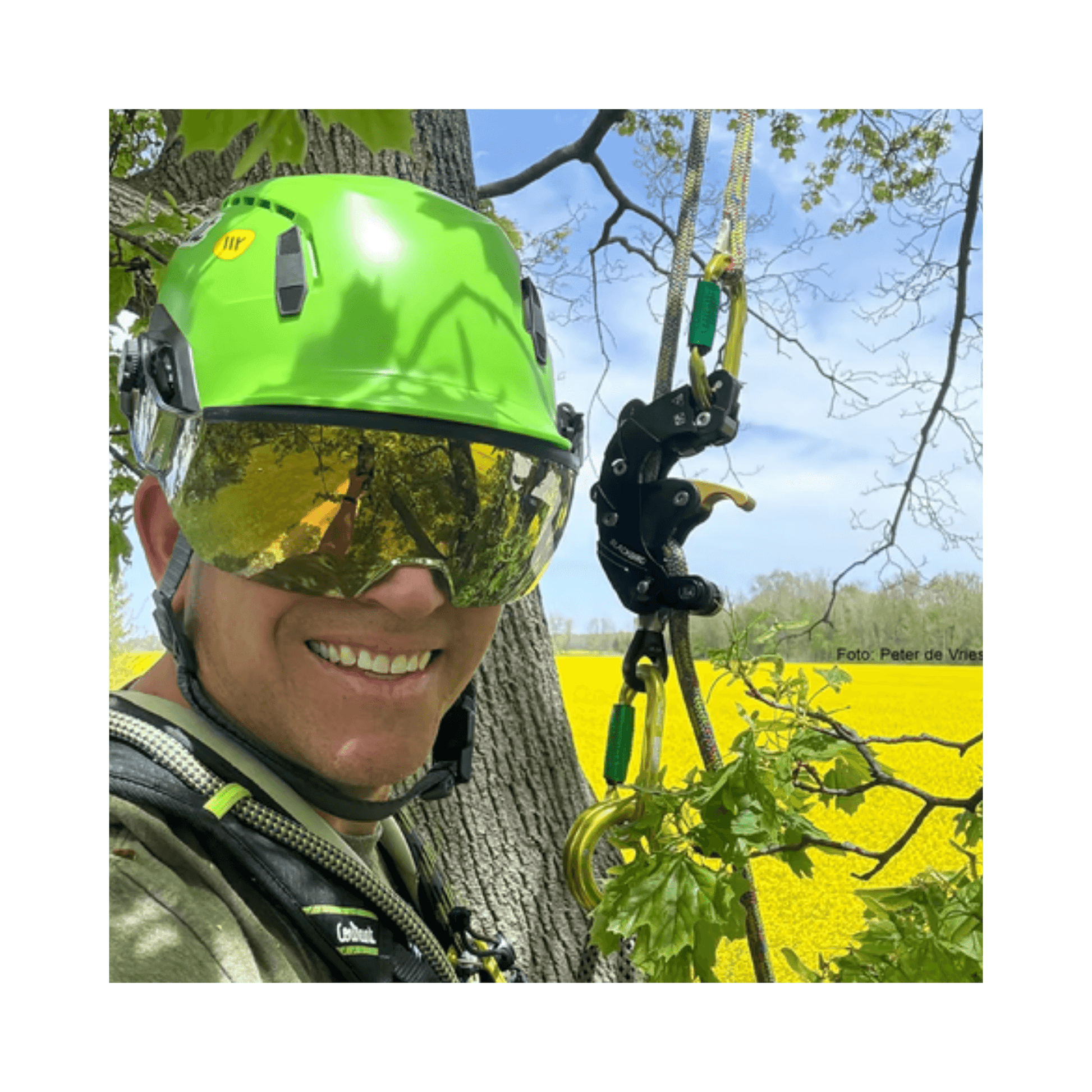 Tree surgeon wearing a green helmet and goggles while climbing with gear in a vibrant yellow field background.
