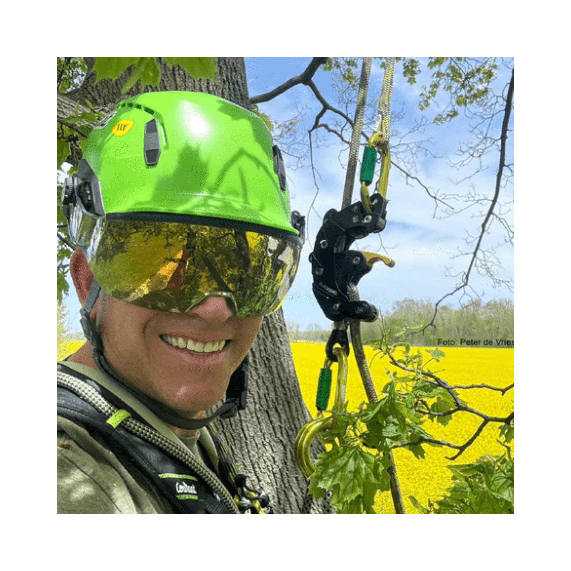 Tree surgeon wearing a green helmet and goggles while climbing with gear in a vibrant yellow field background.