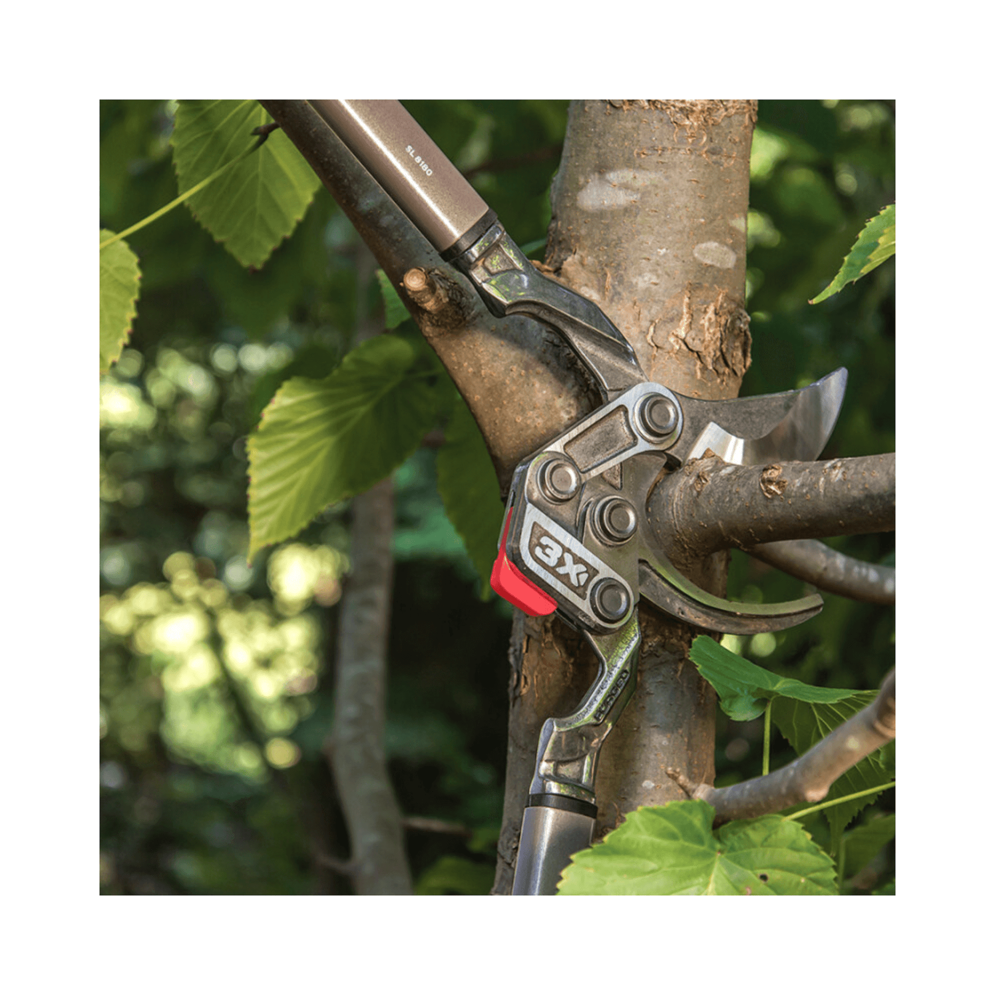 DualLINK Forged Bypass Lopper 31 Inch cutting through a tree branch in a lush garden.