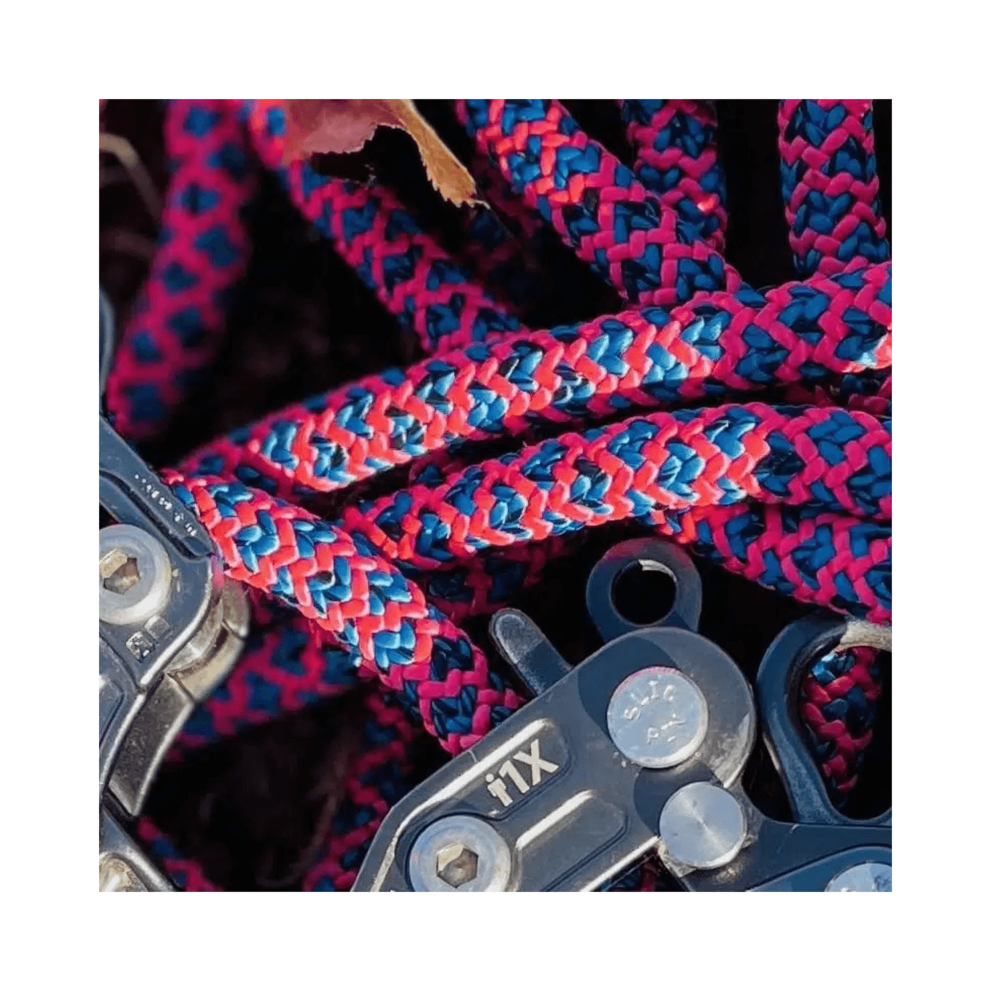 Atrax 11.6mm Climbing Rope 11.6mm with vibrant blue and pink braided design for tree surgeon use.