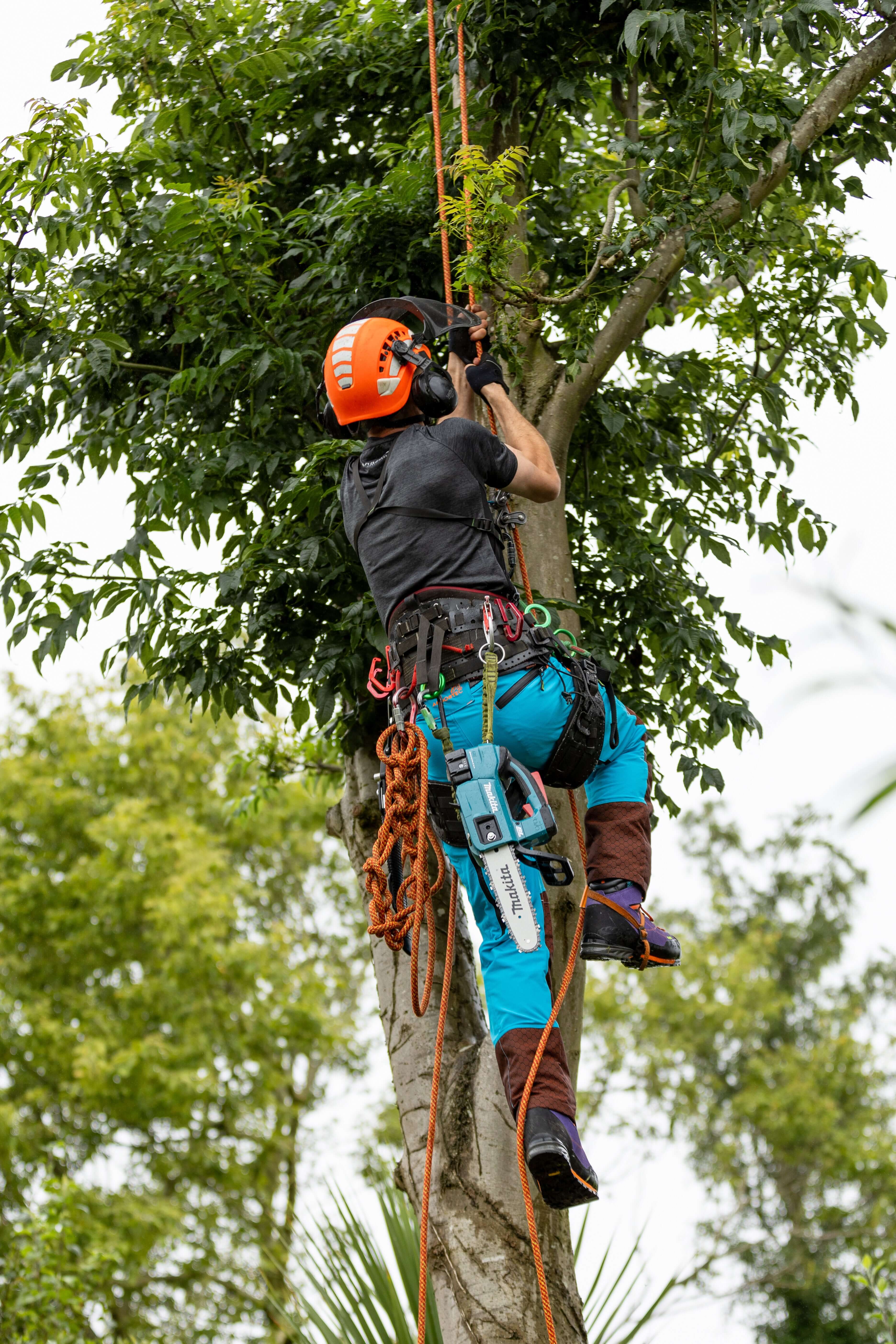 アーボリストのためのArbortecの衣類とブーツ | ツリーライフを楽しもう