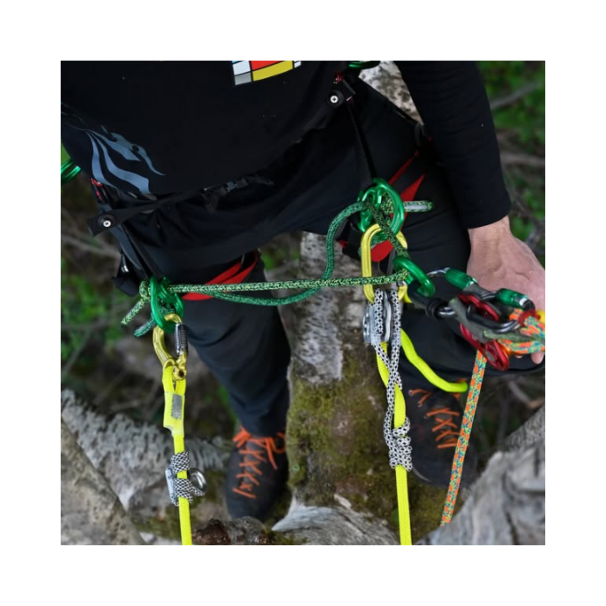 Close-up of a tree climber using the Nomad Friction Hitch Lanyard System for secure positioning.