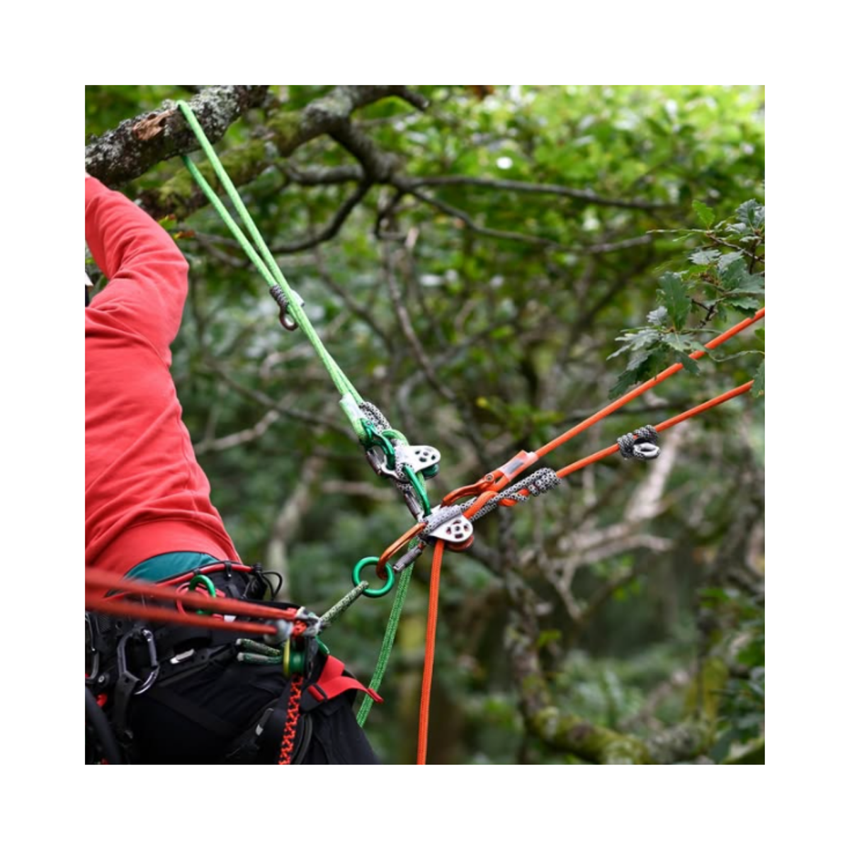 Image of the Nomad Friction Hitch Lanyard System in use during tree climbing for professional arborists.