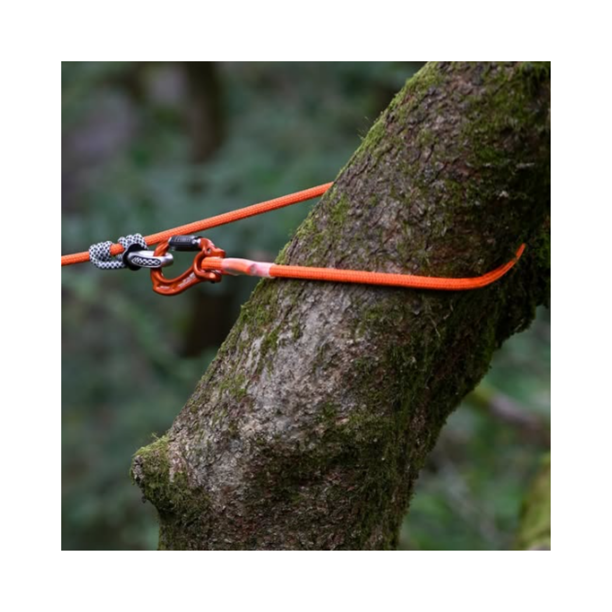 Nomad Friction Hitch Lanyard System secured to a tree with vibrant rope and gear for arborist work.