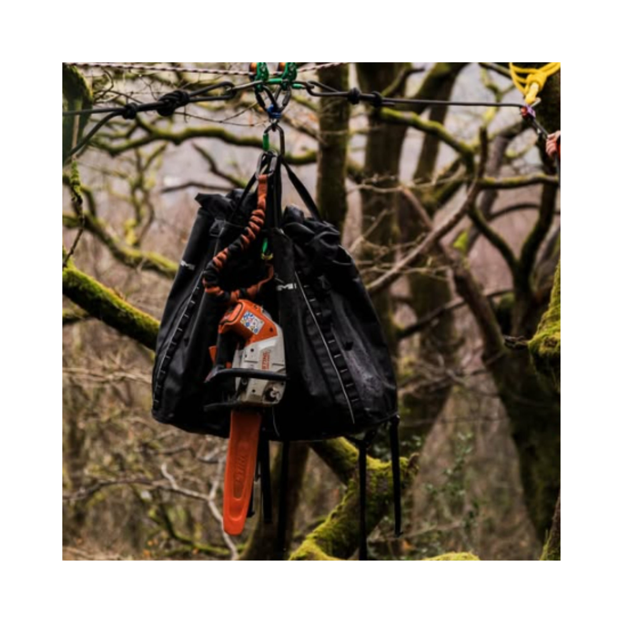 DMM Porter Rope Bag hanging from a tree branch, showcasing durability for outdoor professionals.