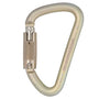 DMM Steel Klettersteig D-Shape Carabiner 12mm for climbing and rigging, ideal for tree surgeons.