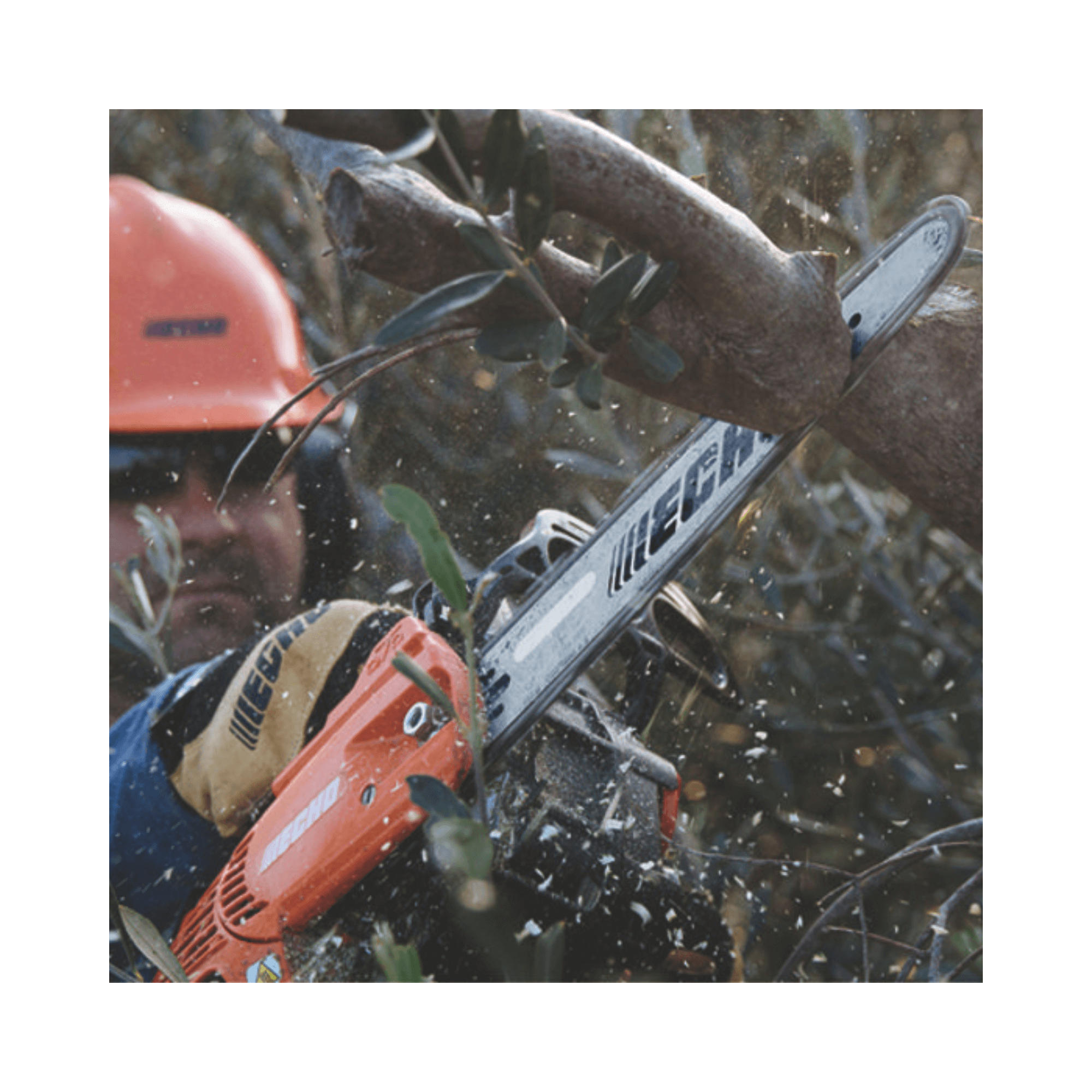 ECHO CS-2511TESC Petrol Top Handle Chainsaw 10" in action cutting branches by a tree surgeon.