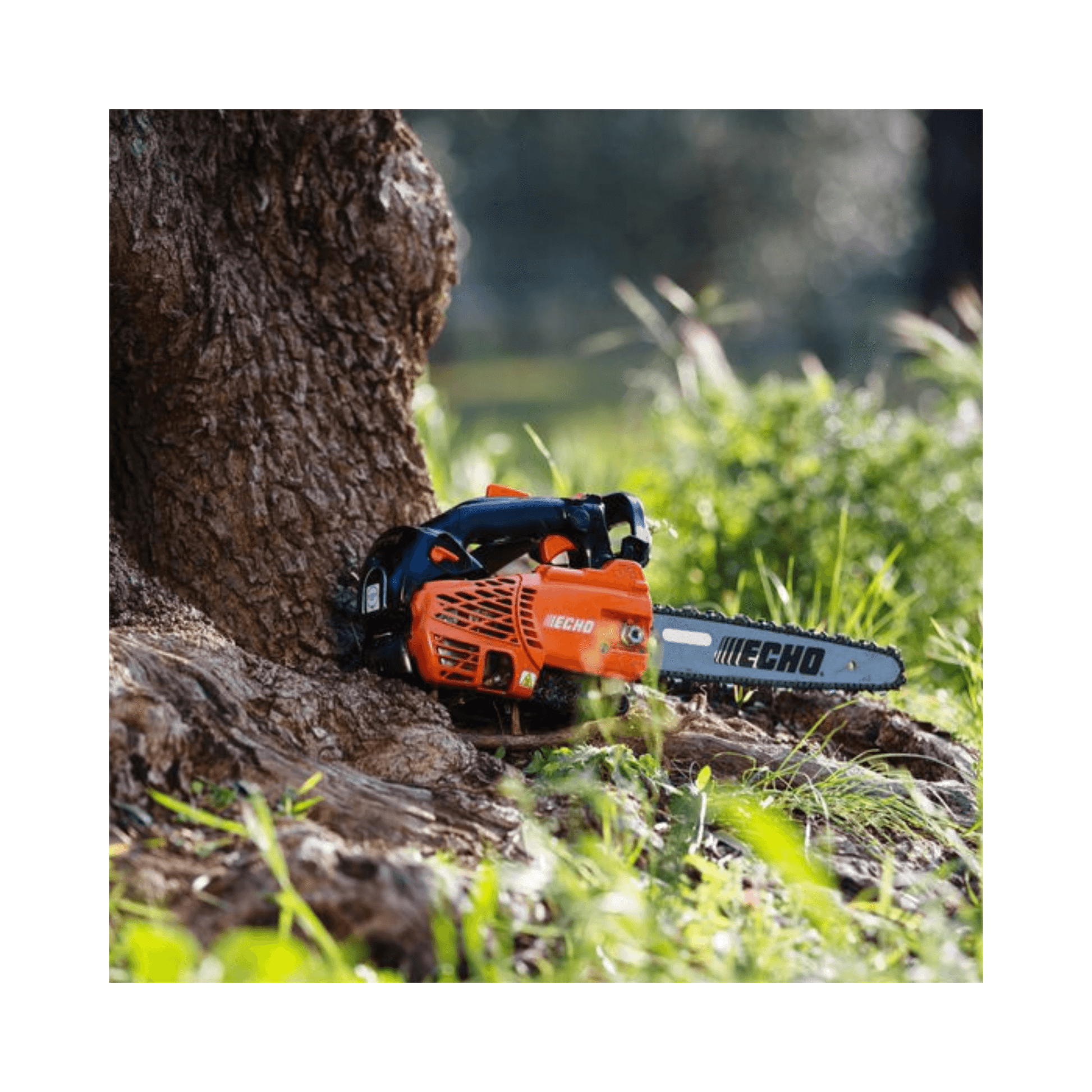 ECHO CS-2511TESC Petrol Top Handle Chainsaw 10" against a tree, ideal for tree surgeons.