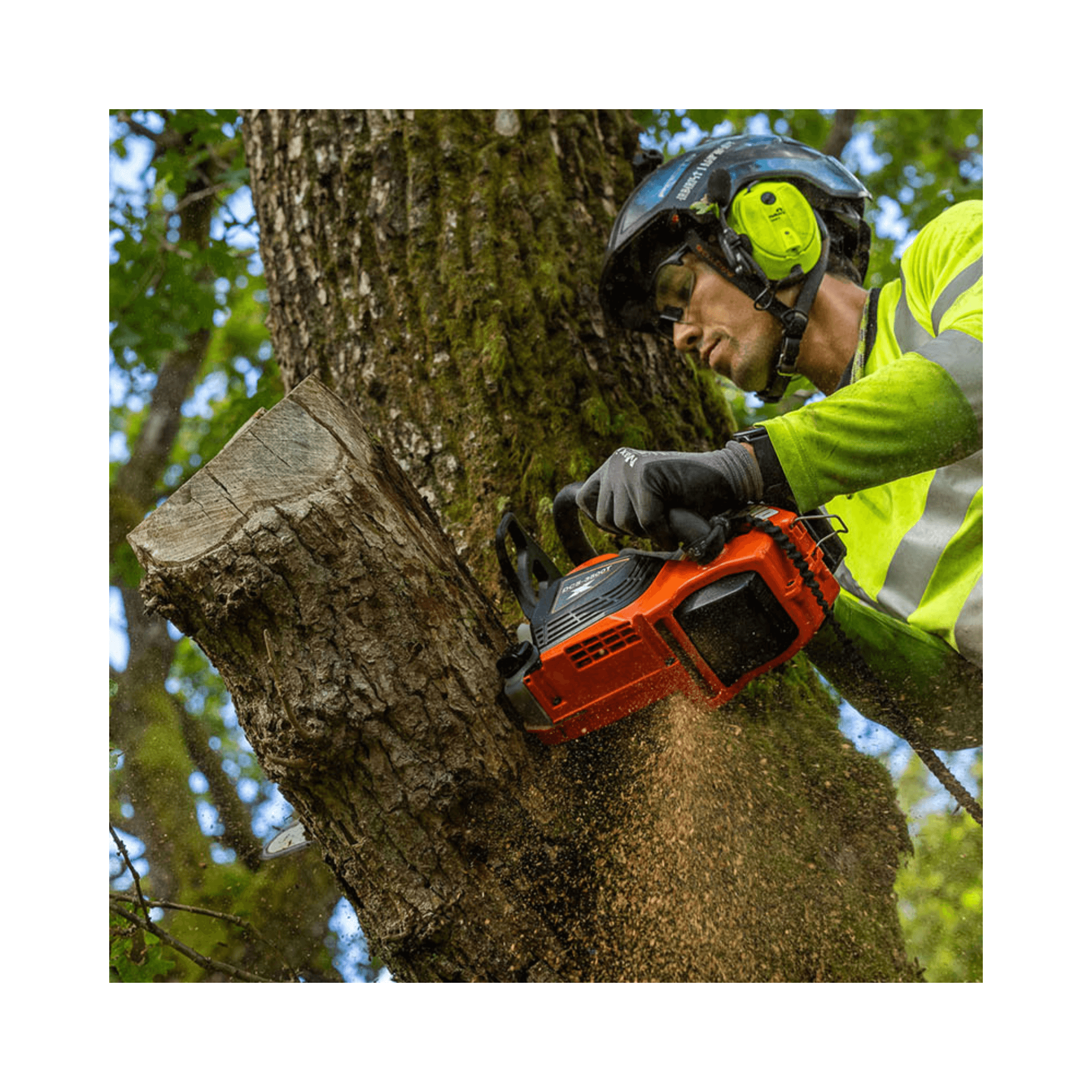 DCS-3500T Battery Top Handle Chainsaw 14" in action by an arborist, cutting a tree with precision and control.