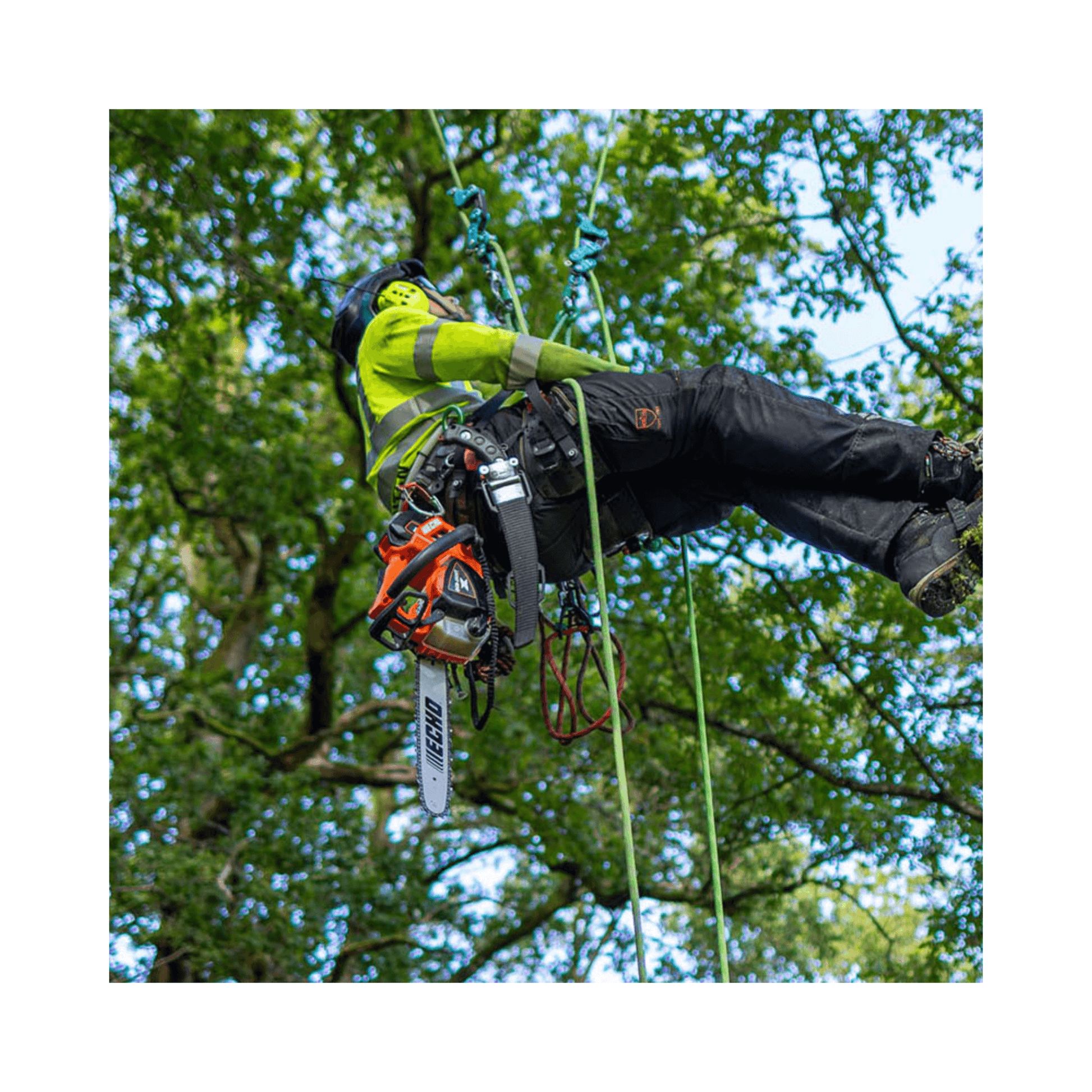 Arborist using the DCS-3500T Battery Top Handle Chainsaw 14" while working at height.