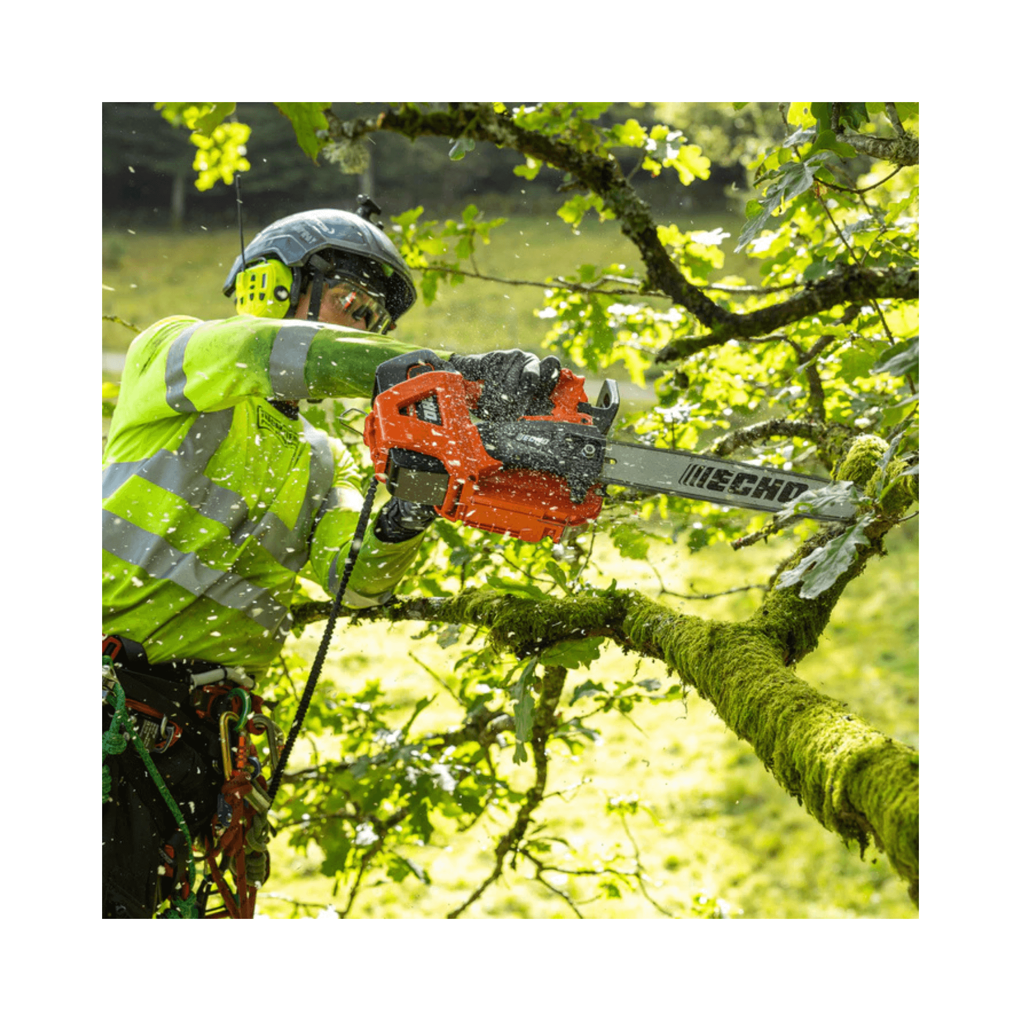 Person using ECHO DCS-3500T Battery Top Handle Chainsaw 14" for tree pruning in a lush green environment.