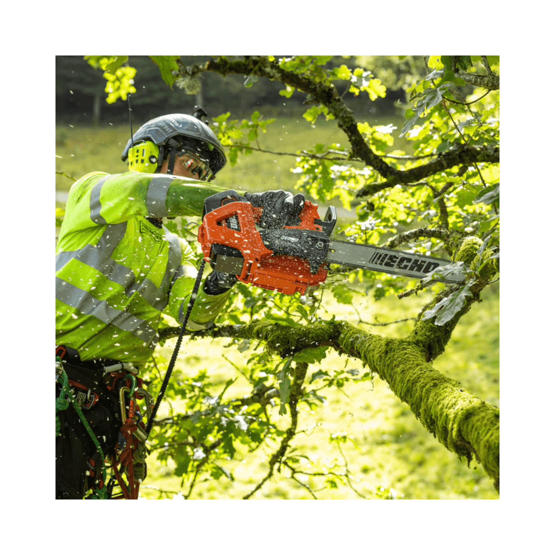 Person using ECHO DCS-3500T Battery Top Handle Chainsaw 14" for tree pruning in a lush green environment.