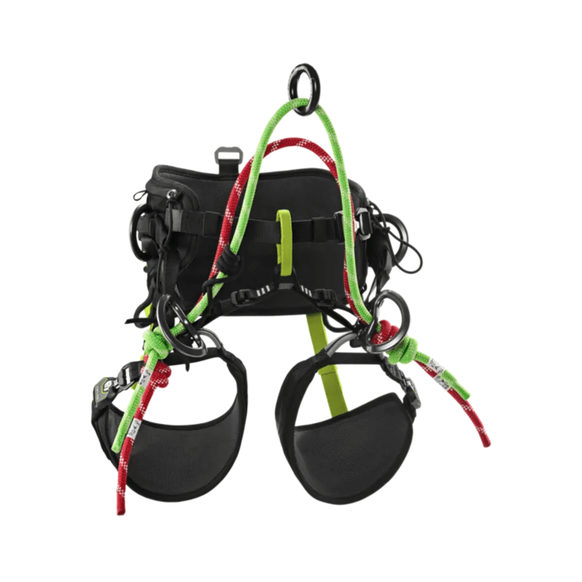 Edelrid TreeRex II ツリーサージェンハーネス | 英国送料無料 Edelrid TreeRex II ツリーサージェンハーネス | 英国送料無料