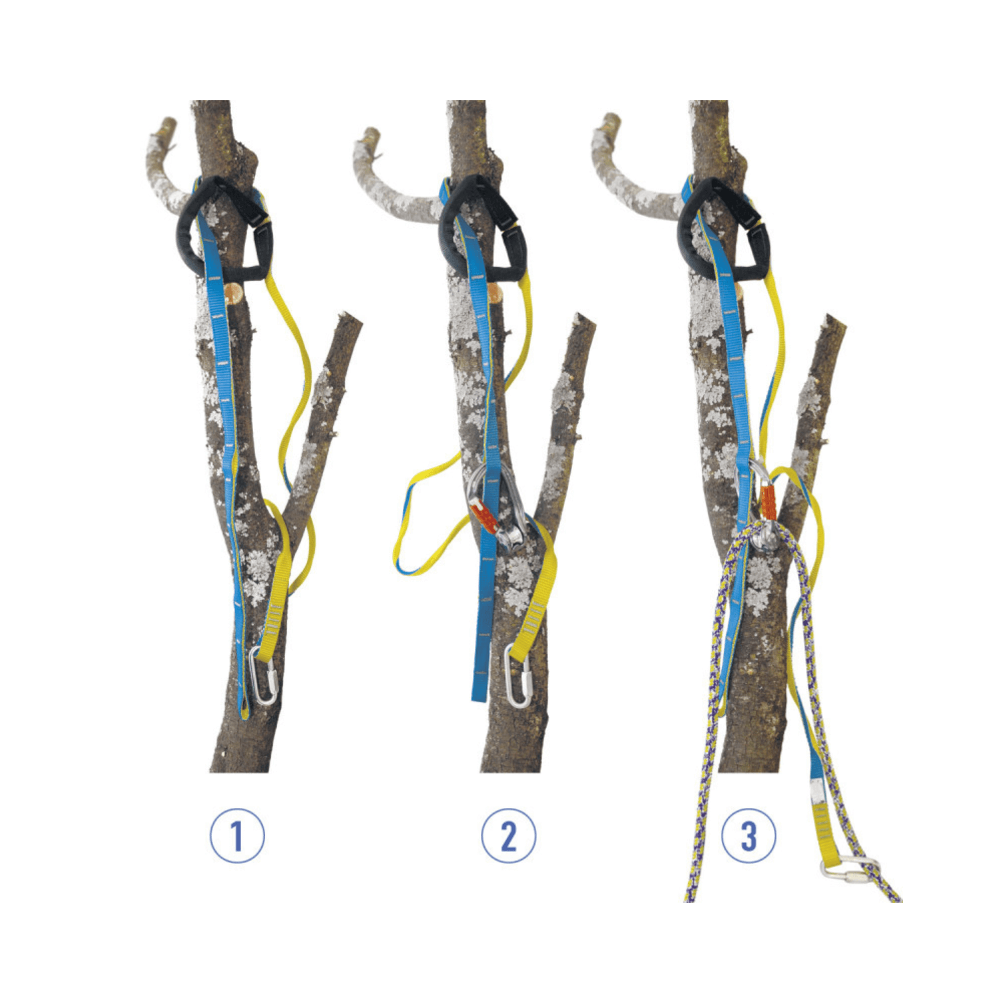 Image showing Choker Joker Light cambium saver in use on tree branches for tree surgeons, illustrating anchor setups.