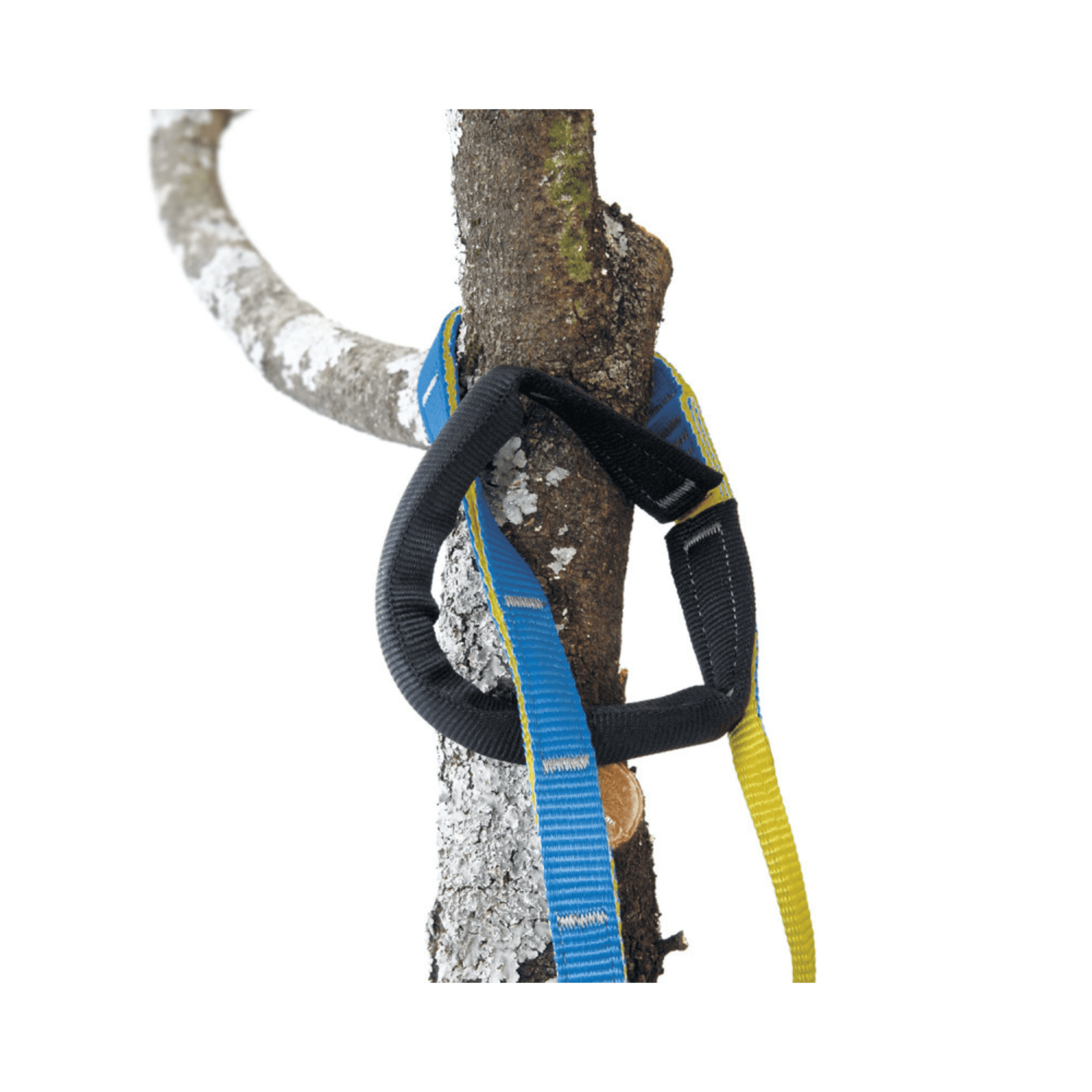 Choker Joker Light cambium saver attached to a tree trunk, showcasing its secure and versatile anchoring design for tree surgeons.