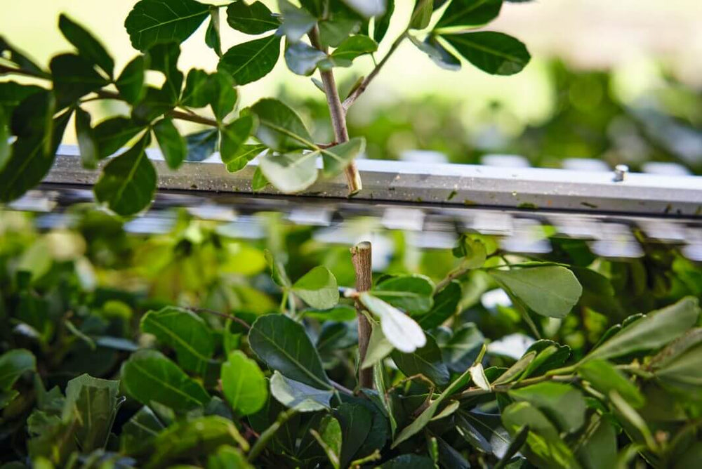 HSA 40 cordless hedge trimmer cutting through lush green foliage, ideal for tree surgeons and garden maintenance.