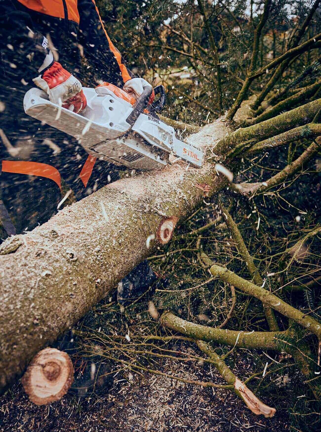 Person using a chainsaw to cut through a tree trunk, with sawdust flying in the air.