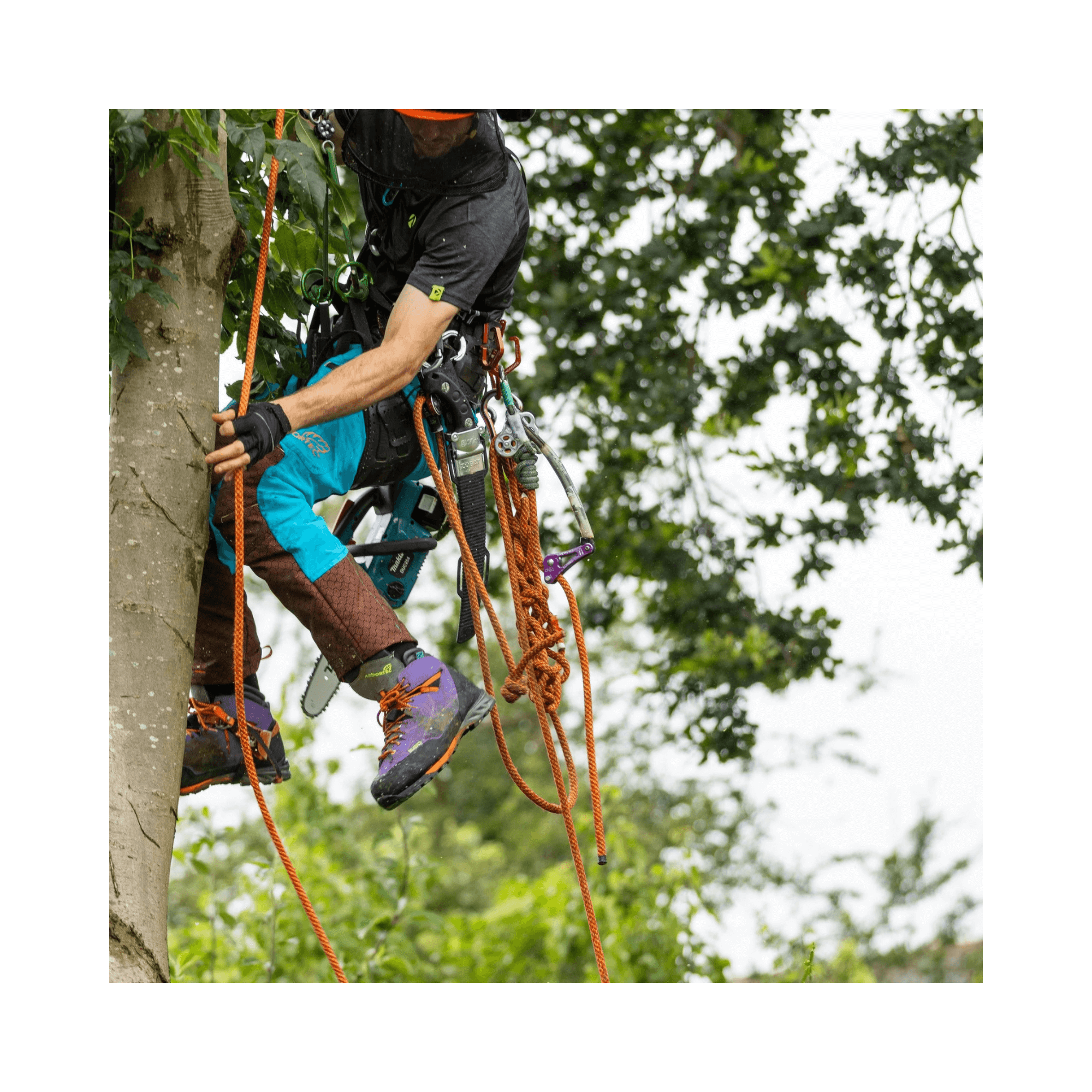Arbortec Kayo Purple Chainsaw Boots Class 2 worn by a tree surgeon climbing a tree.