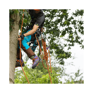 Arbortec Kayo Purple Chainsaw Boots Class 2 worn by a tree surgeon climbing a tree.