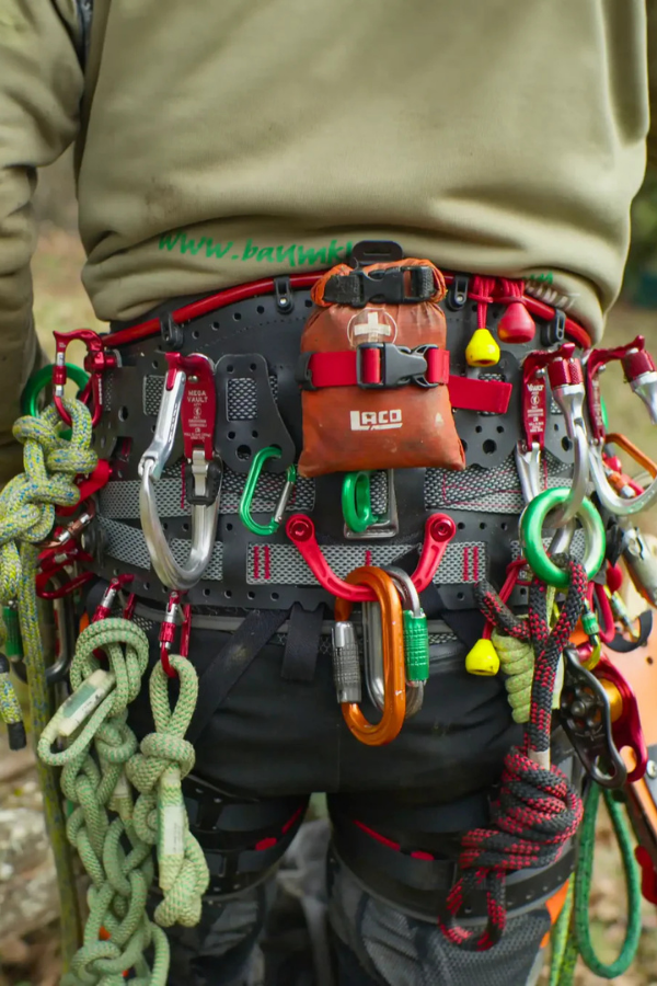 Kinisi Max Tree Climbing Sit Harness