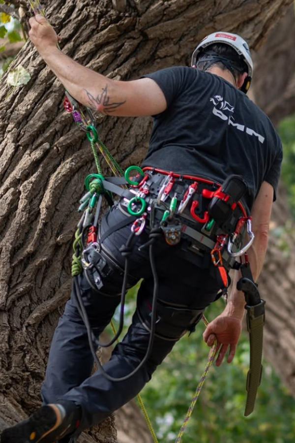 Kinisi PRO Tree Climbing Sit Harness