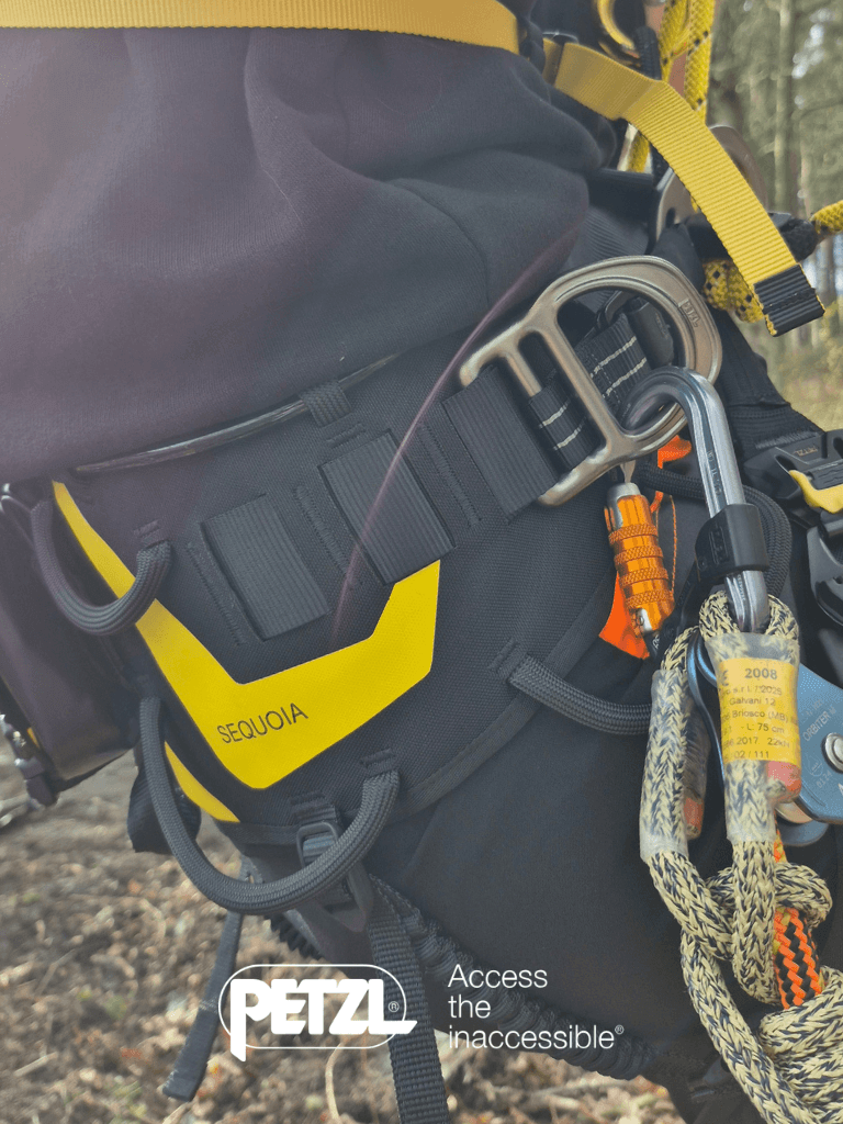 Close-up of a Petzl Sequoia harness with carabiners and climbing gear in an outdoor setting.