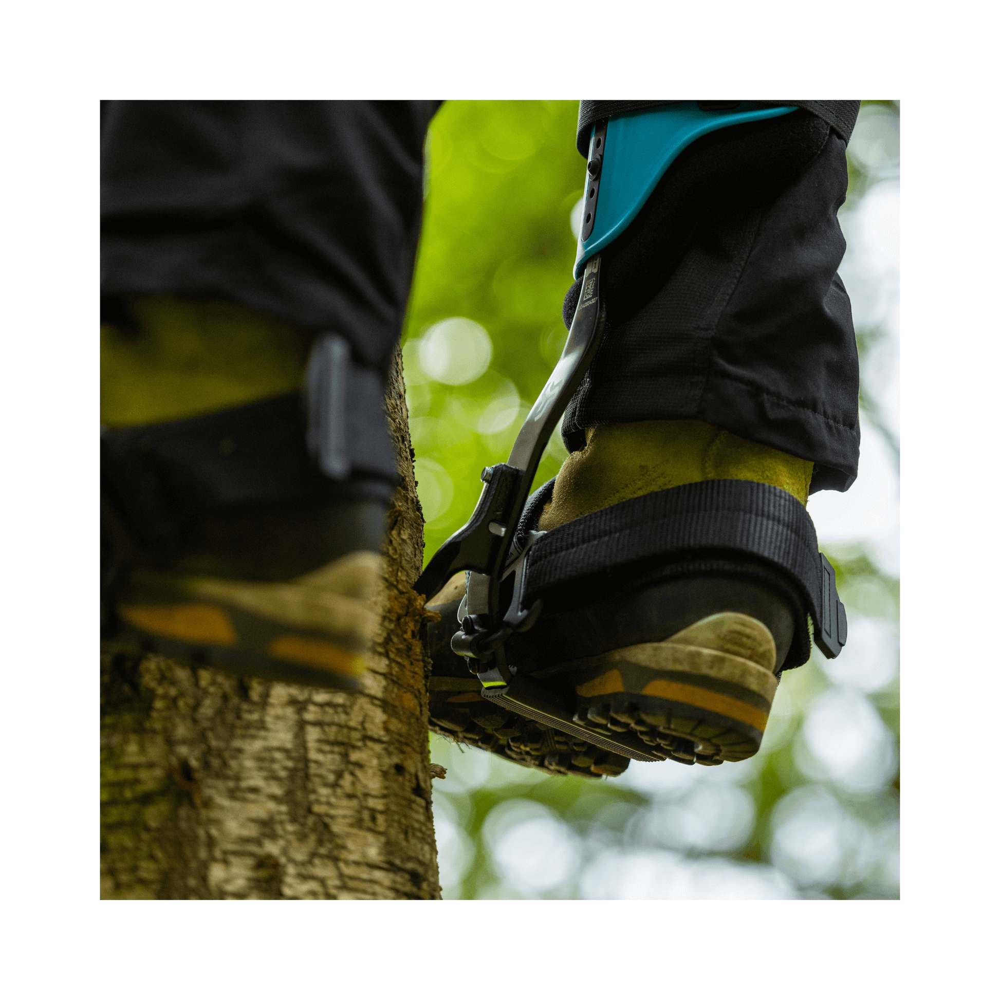Steel Climbers attached to boots, showcasing ergonomic design for tree climbing stability and comfort.