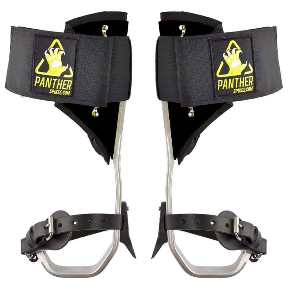 Panther aluminium tree climbing spikes with leather straps for tree surgeons, providing durability and comfort for climbing.