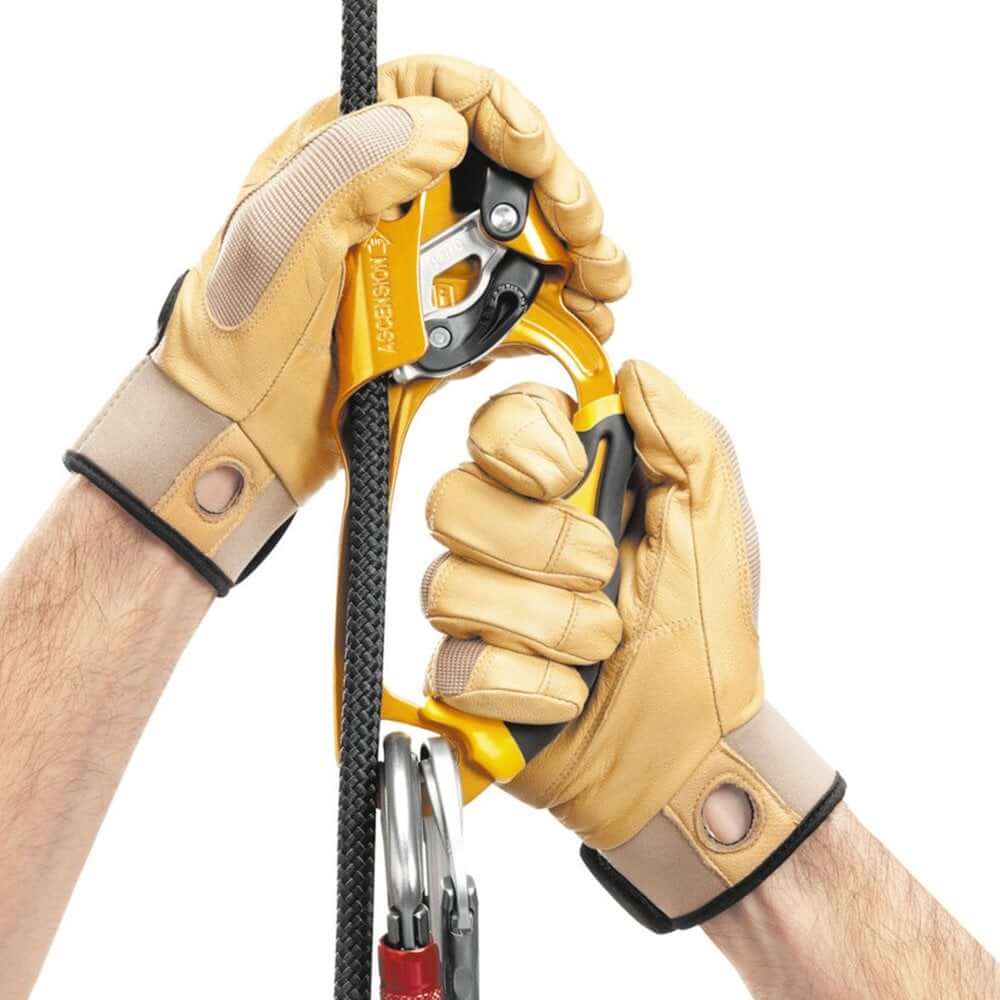 Petzl Ascension hand ascender in use, demonstrating ergonomic grip by a tree surgeon on a climbing rope.