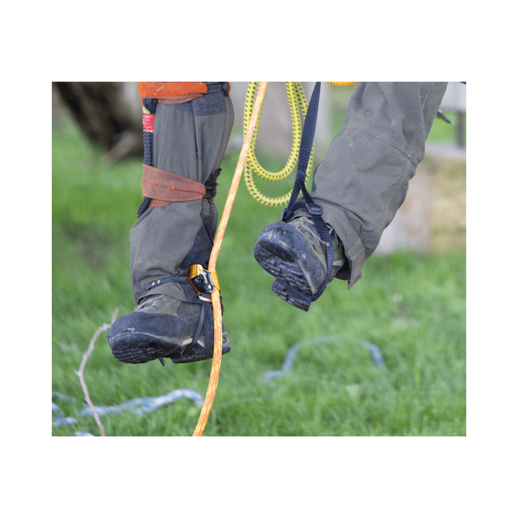 Close-up of feet using Pantin CLICK Foot Ascender for efficient rope ascent by Tree Surgeon Arborist.