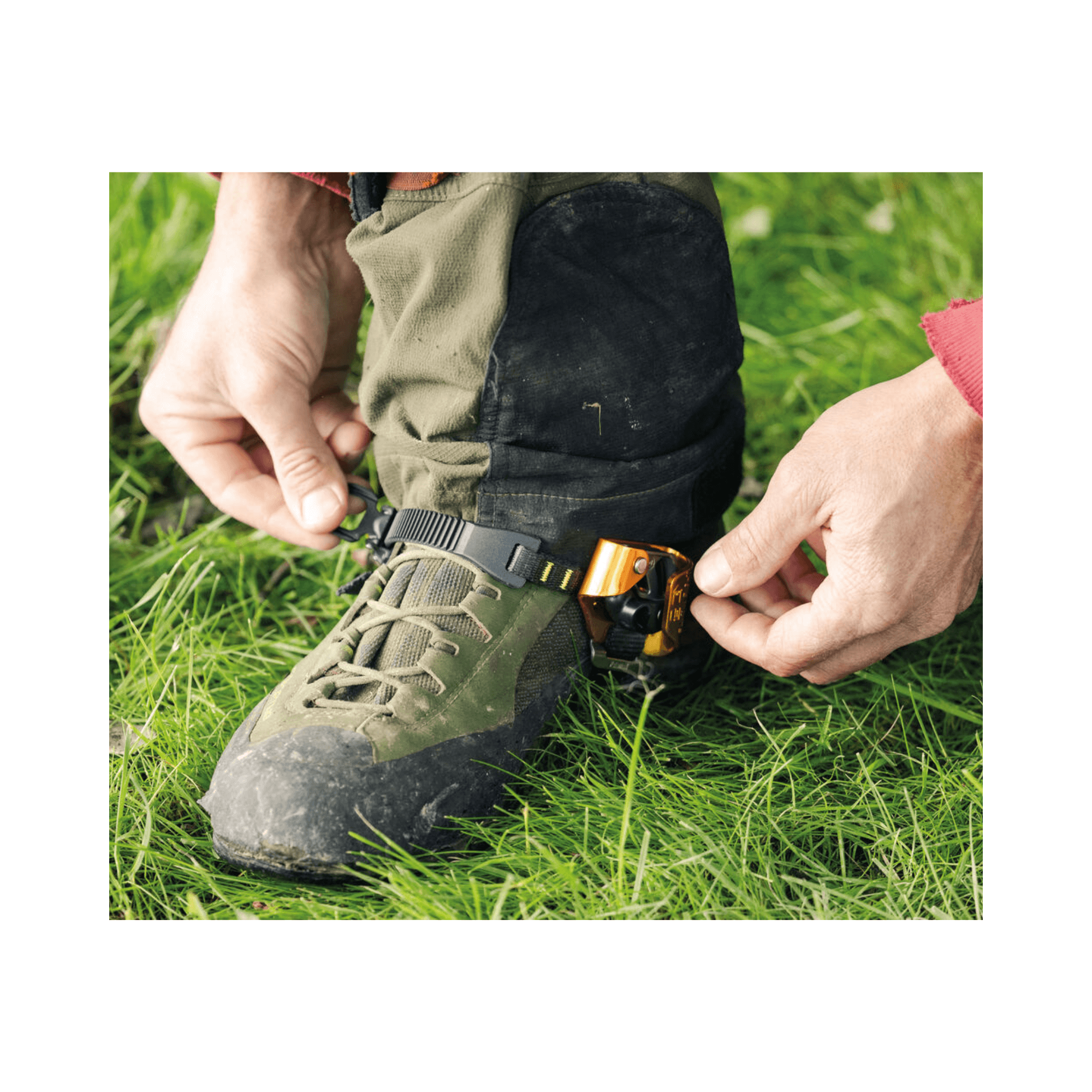 Using the PETZL PANTIN CLICK Foot Ascender on a boot, designed for tree surgeons and arborists.