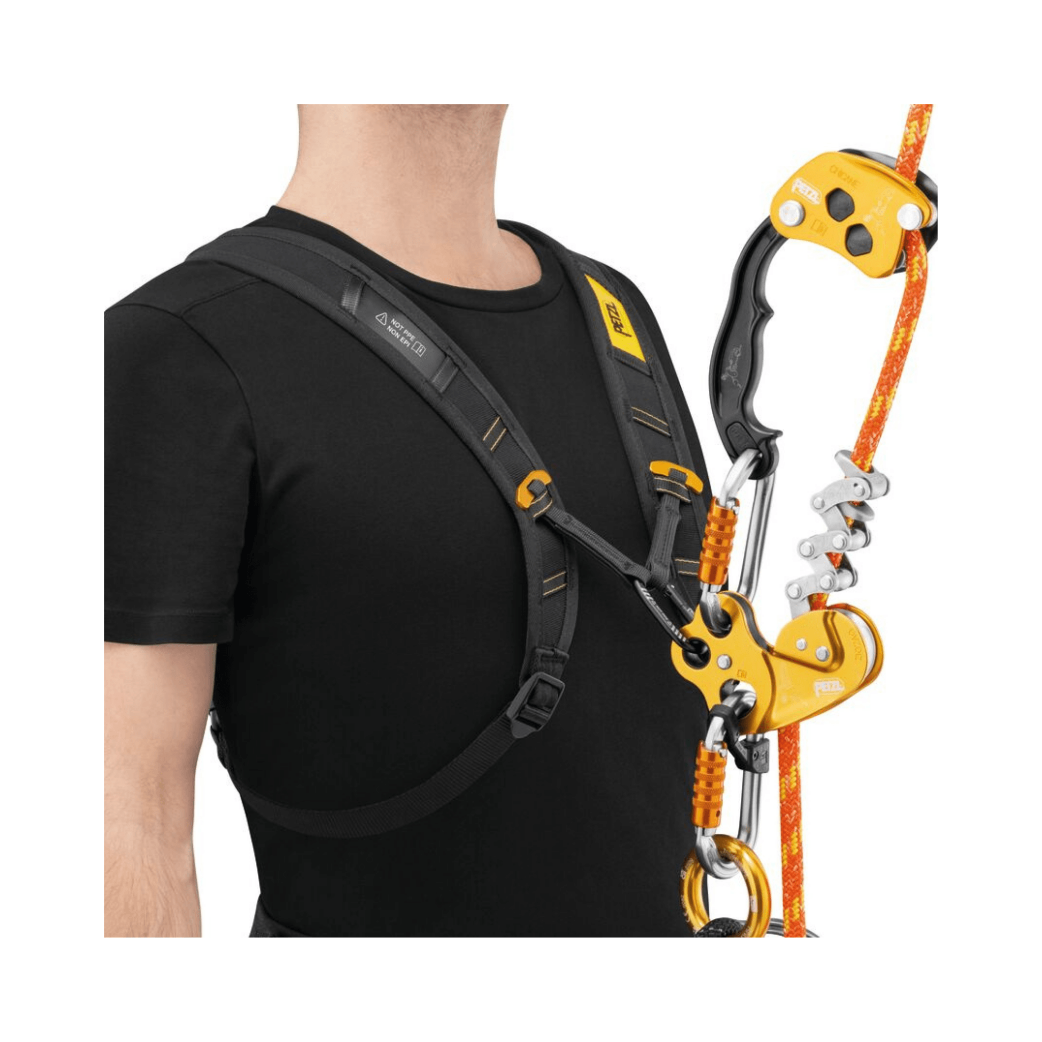 SEQUOIA Shoulder Straps worn by a person demonstrating climbing support for tree surgeons.